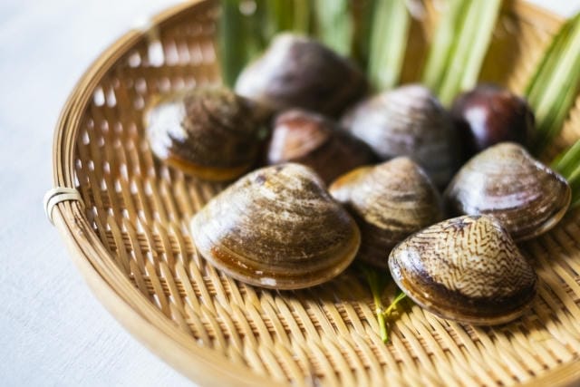 お雑煮にはまぐりを入れる地域はどこ？食文化の歴史や由来について